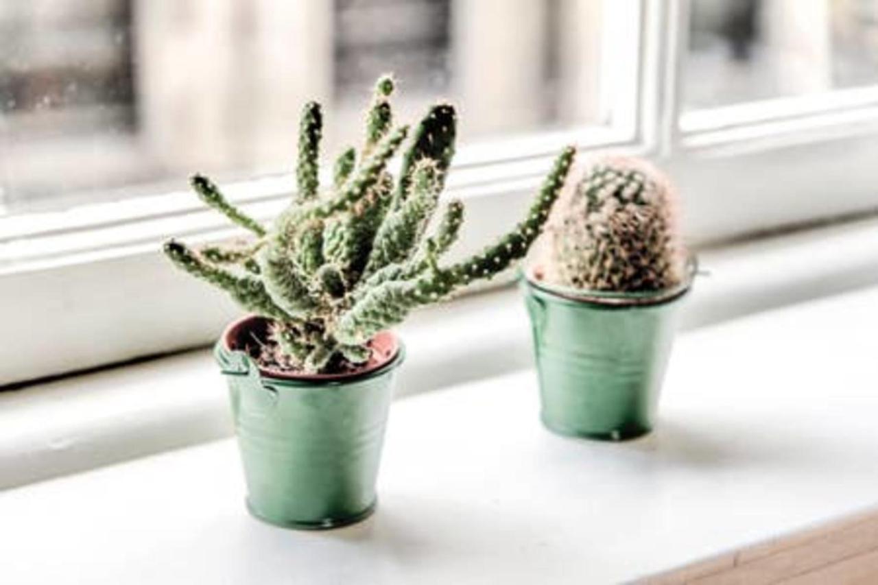 Guestready - Greyfriars Bobby Home View Apartment - Old Town エディンバラ エクステリア 写真